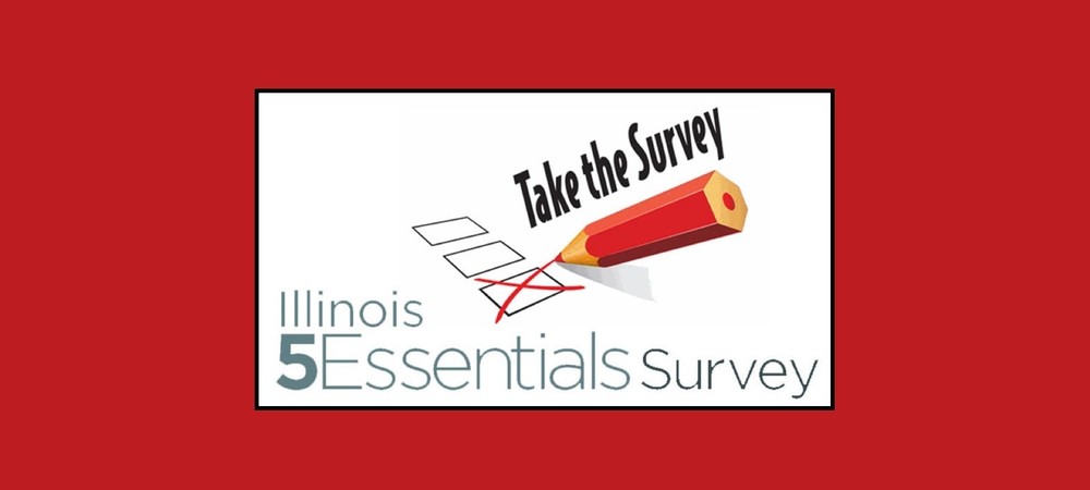 5 essentials survey graphic