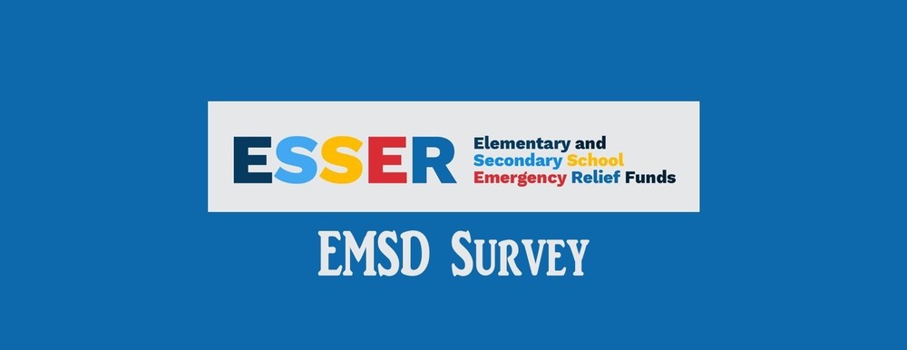 ESSER survey graphic